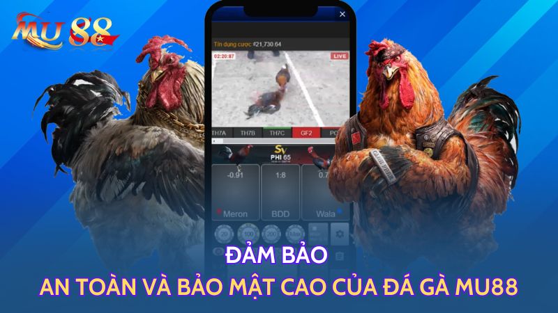 Đảm bảo an toàn và bảo mật cao của Mu88