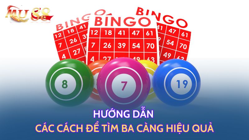 Hướng dẫn các cách để tìm ba càng hiệu quả