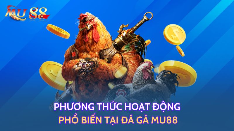 Phương thức hoạt động phổ biến tại đá gà Mu88