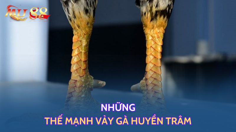 Thế mạnh vảy huyền trâm